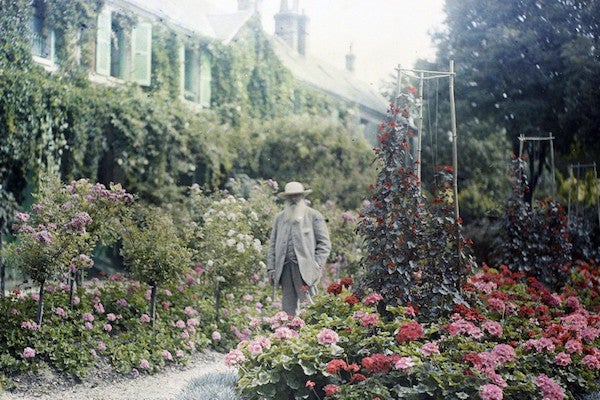 Zeuxis présente les Nymphéas de Claude Monet